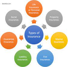 types of insurance