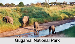 Gugamal National Park