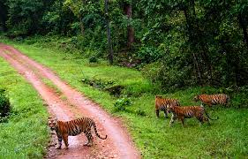 Map of Kanha National park-Kanha Tiger Reserve-