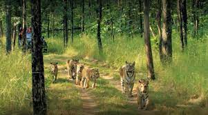 Pench national park