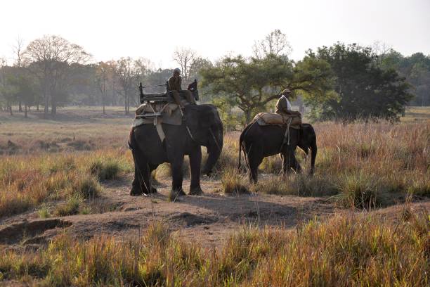  Kanha National park-Kanha Tiger Reserve-