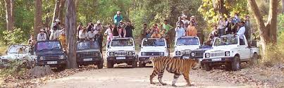 Sariska Tiger Reserve-Alwar 