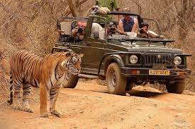 Tadoba Toger Reserve