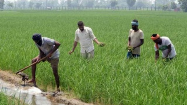 "Kisan Rin Guarantee Yojana : फसल कटाई के बाद किसानों को वित्तीय सहायता और सस्ता ऋण उपलब्ध कराने वाली सरकारी योजना।"