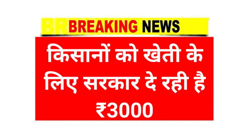 Rajasthan Agriculture Business Scheme offers ₹30,000 subsidy to empower farmers
